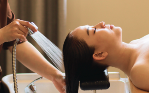 GỘI ĐẦU DƯỠNG SINH 